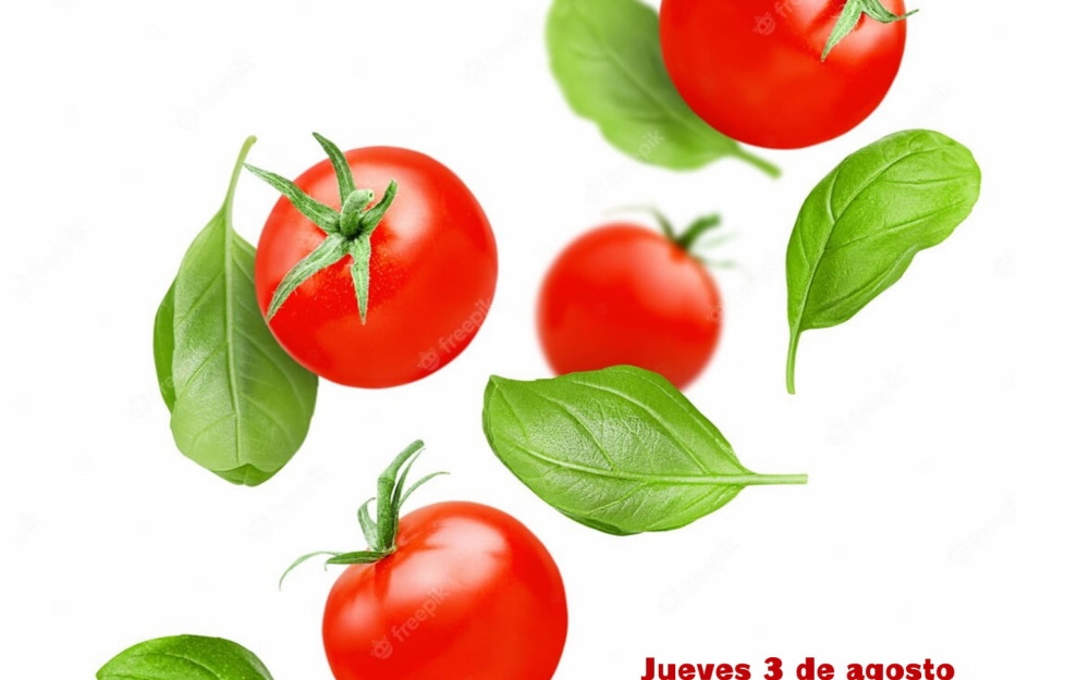 Imagen noticia