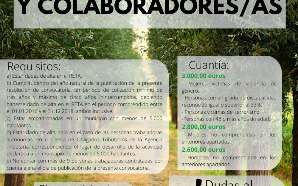 Imagen noticia