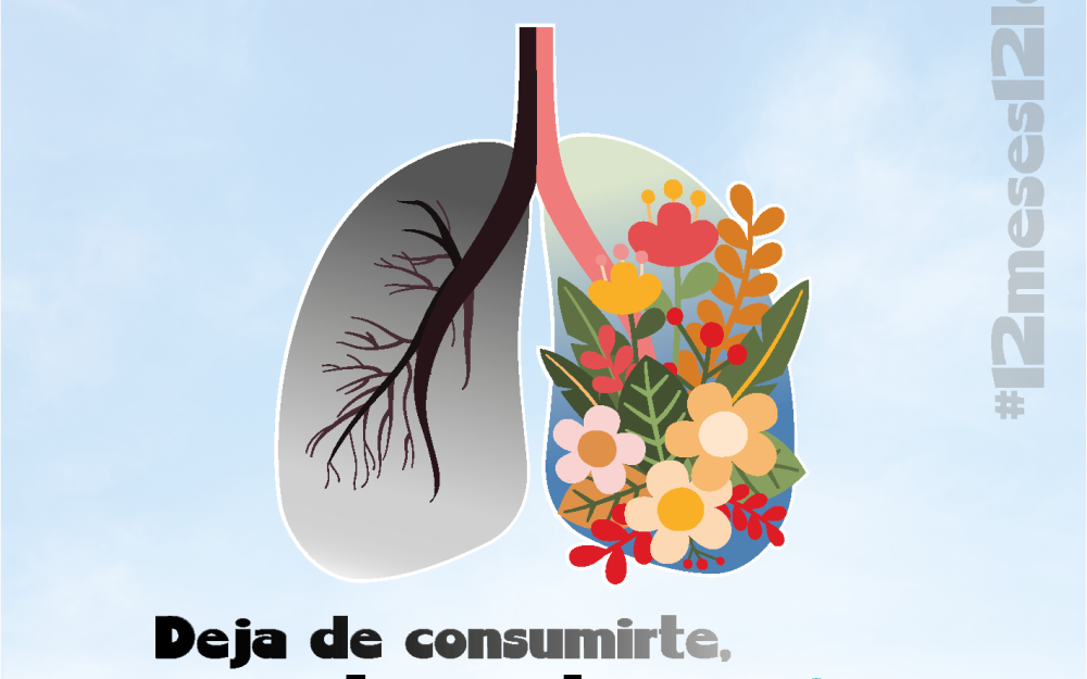 Imagen noticia