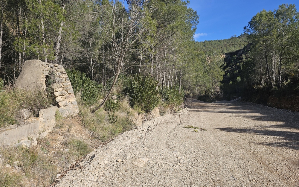 REVISIÓN DE OBRAS Y SEGUIMIENTO DE TRABAJOS EN EL VIEJO TERMINO
