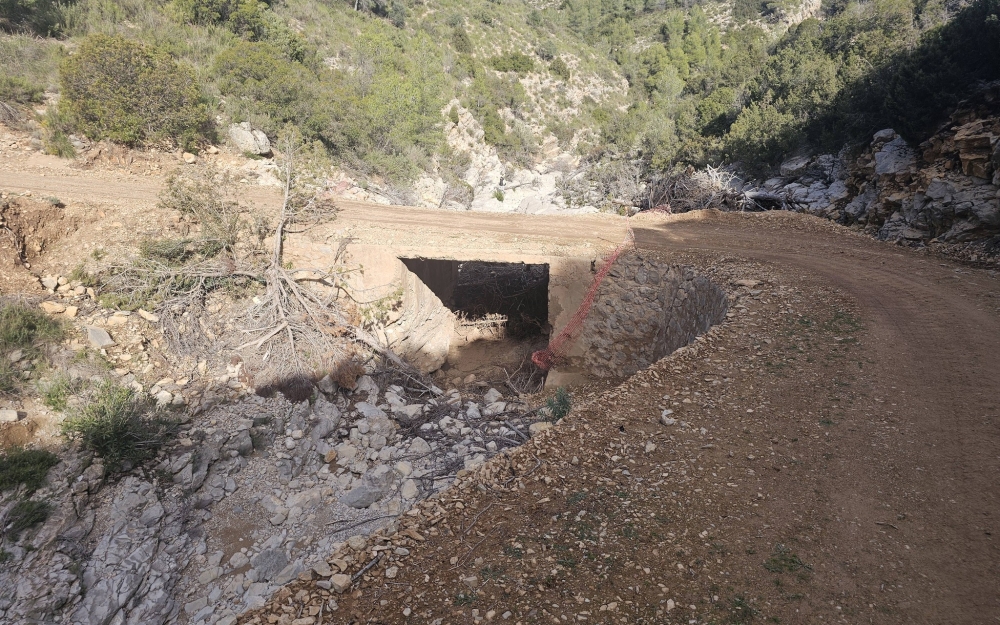 REVISIÓN DE OBRAS Y SEGUIMIENTO DE TRABAJOS EN EL VIEJO TERMINO