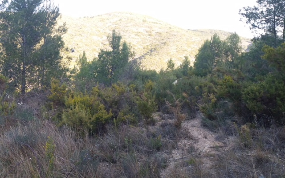 4-brigadas-municipales3-3