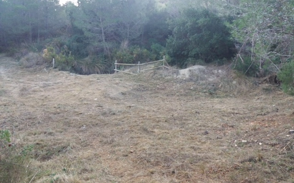 4-brigadas-municipales3-4