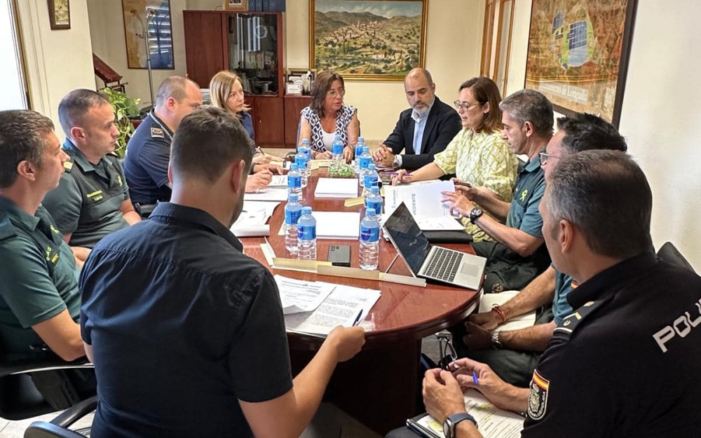 junta-seguridad4