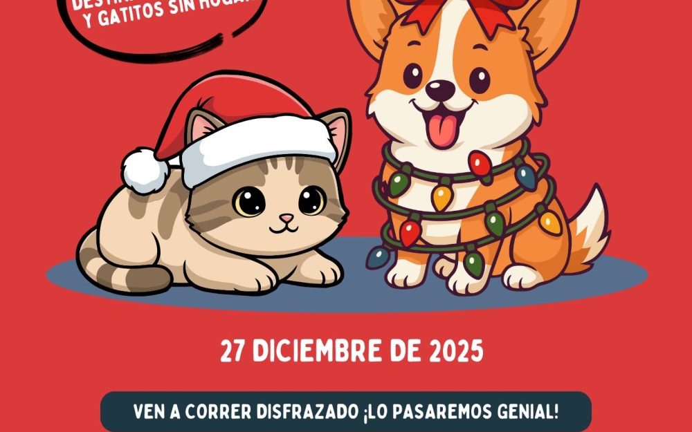 SAN SILVESTRE SOLIDARIA 2025