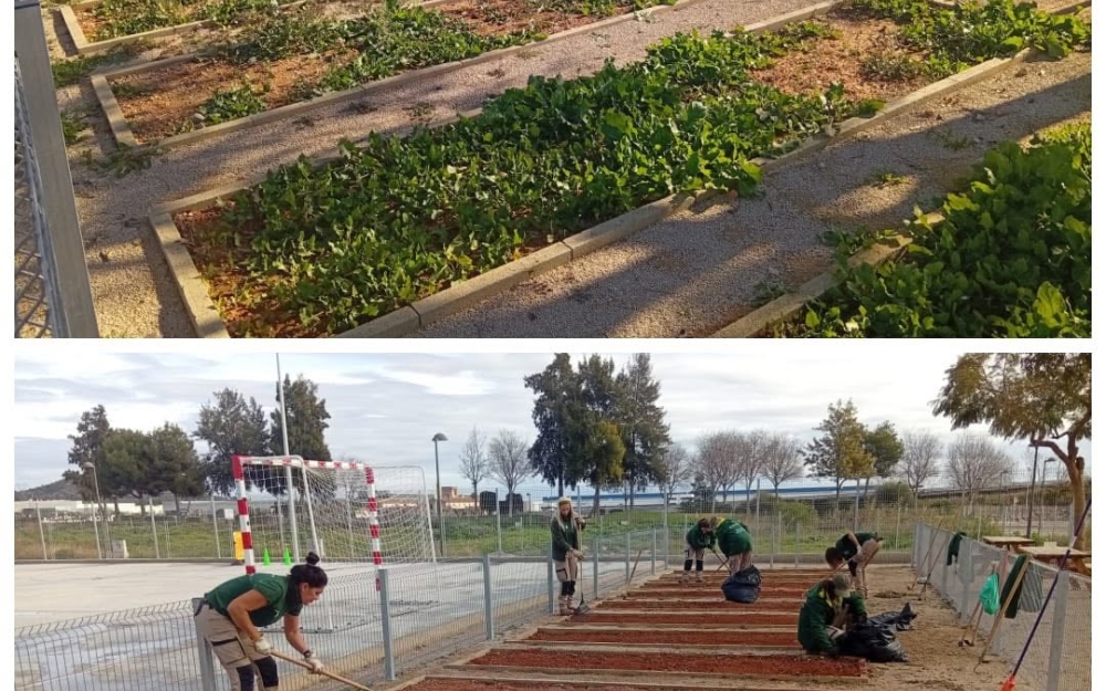 EL AYUNTAMIENTO CONTINUA CON LAS OBRAS DE MEJORA DEL MUNICIPIO 