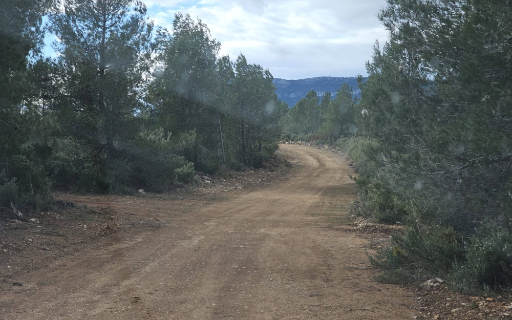 REVISIÓN DE OBRAS Y SEGUIMIENTO DE TRABAJOS EN EL VIEJO TERMINO