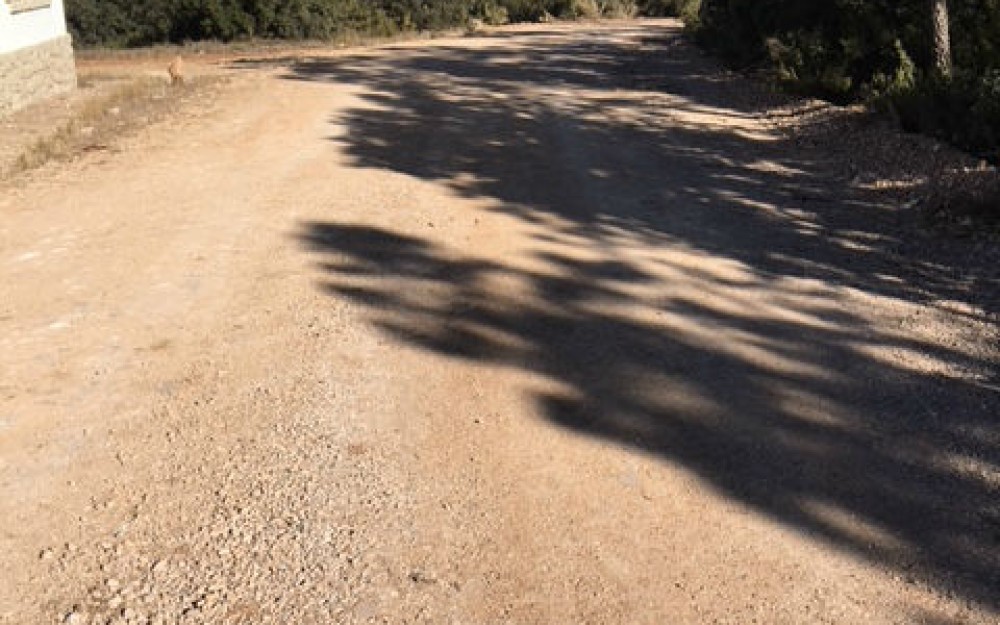 pistasForestales-3