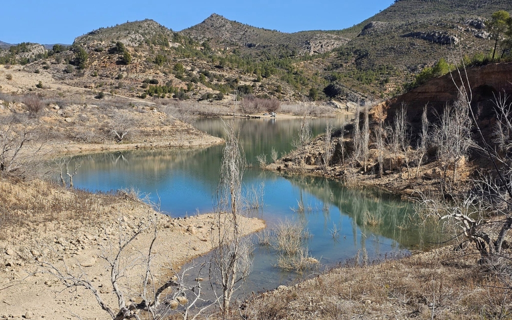 camino_forestal_1