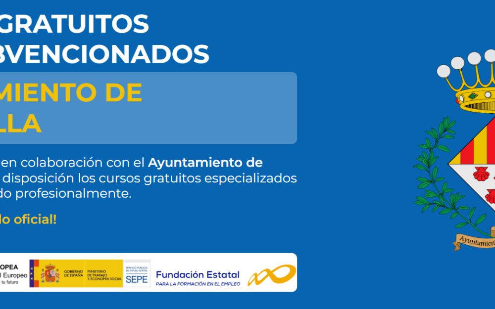 FORMACIÓN ONLINE SUBVENCIONADA