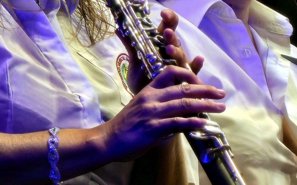 Día de la Comunitat Valenciana 2023 - 15
