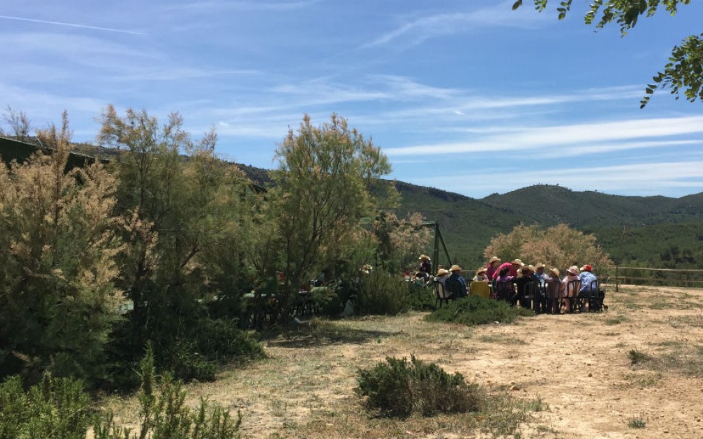 romeria-50-aniversario-11
