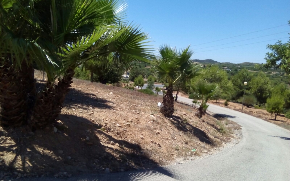 BrigadaMantenimiento-11
