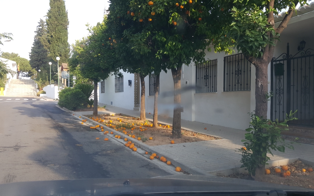 BrigadaMantenimiento-15