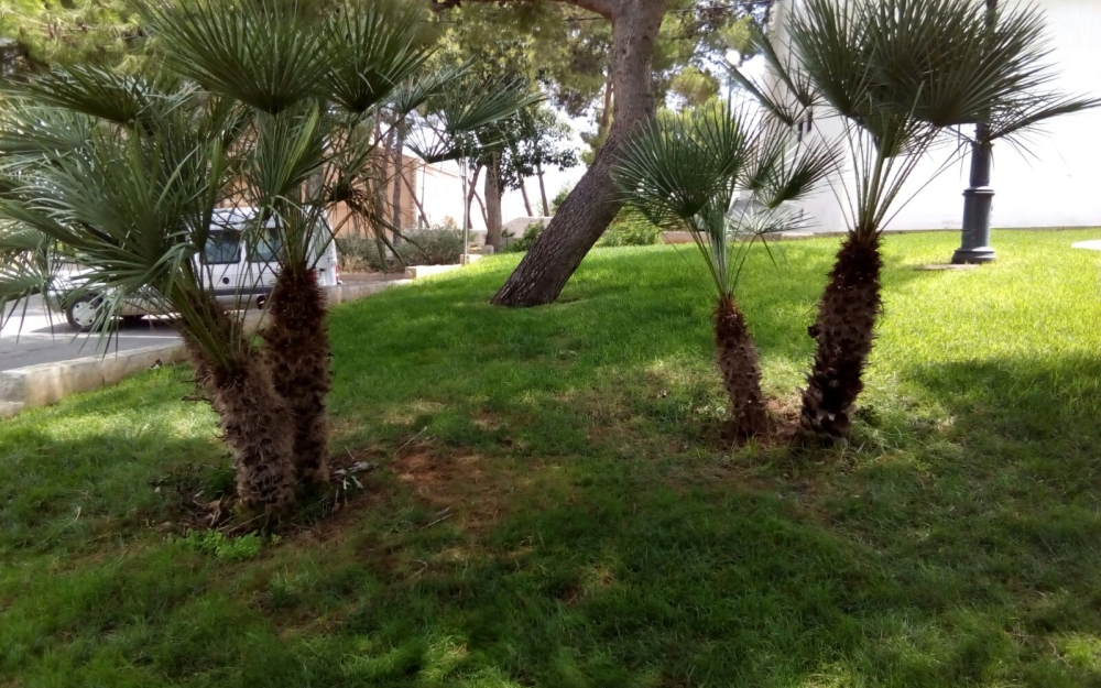 BrigadaMantenimiento-19