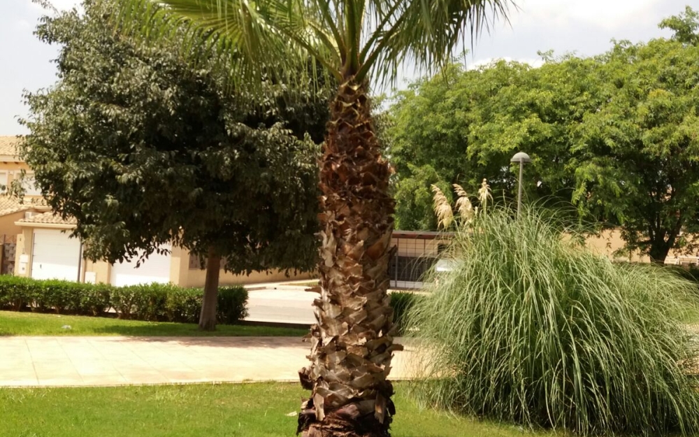 BrigadaMantenimiento-21