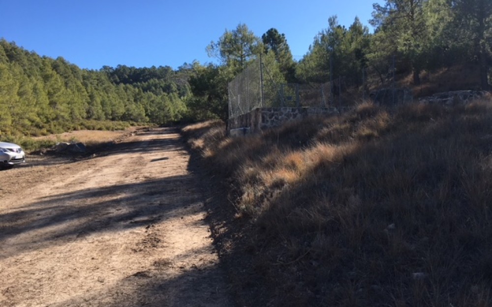 pistasForestales-4