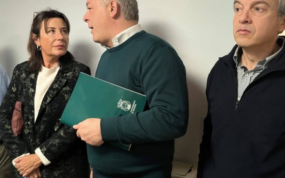nueva ordenacion del patricova