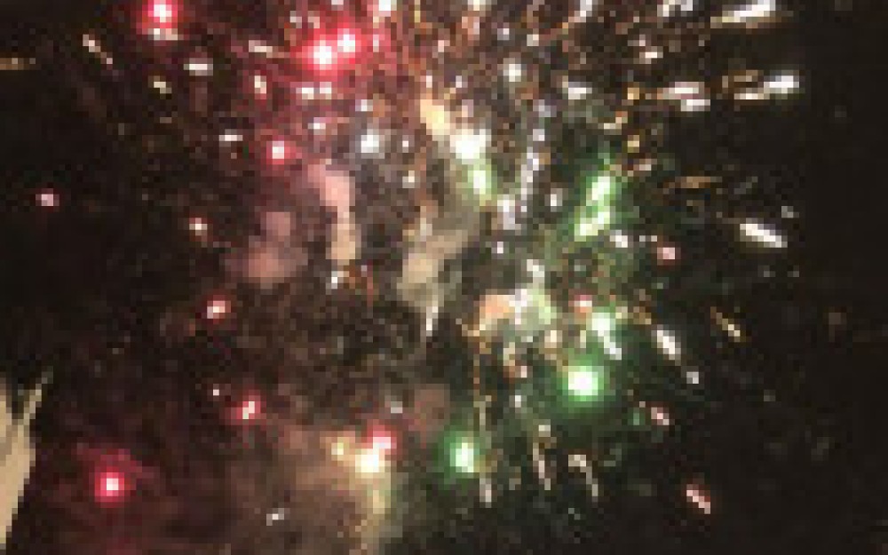 fallas2018-5