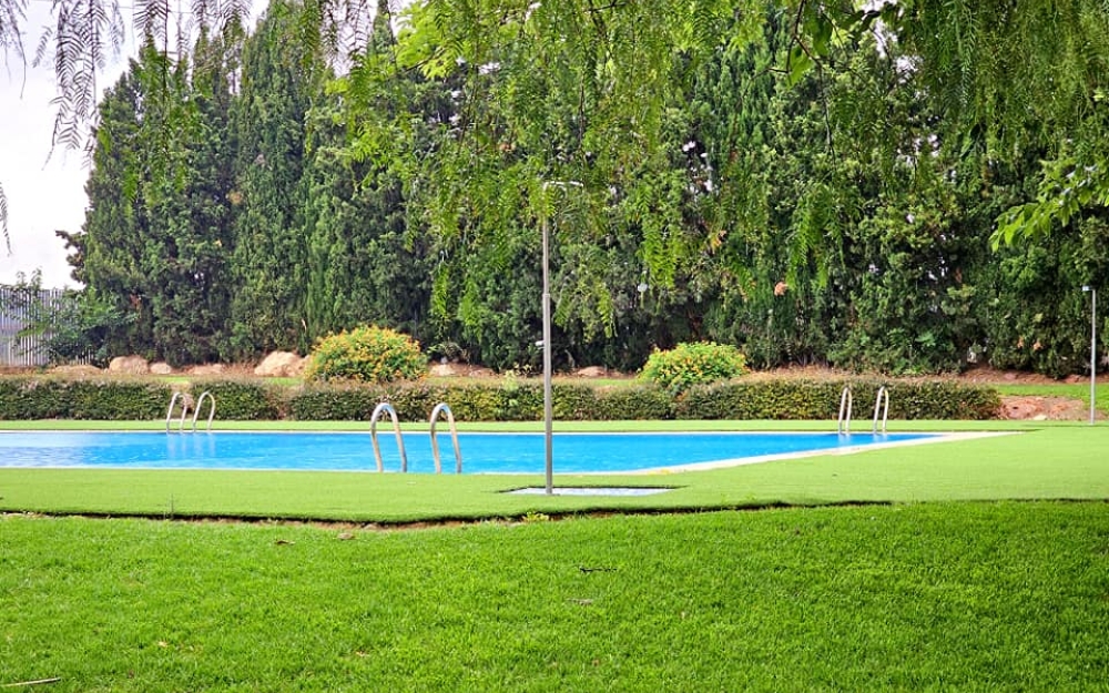 pisci20234