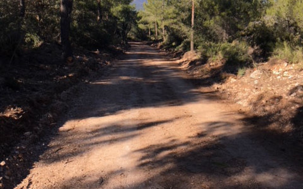 pistasForestales-5