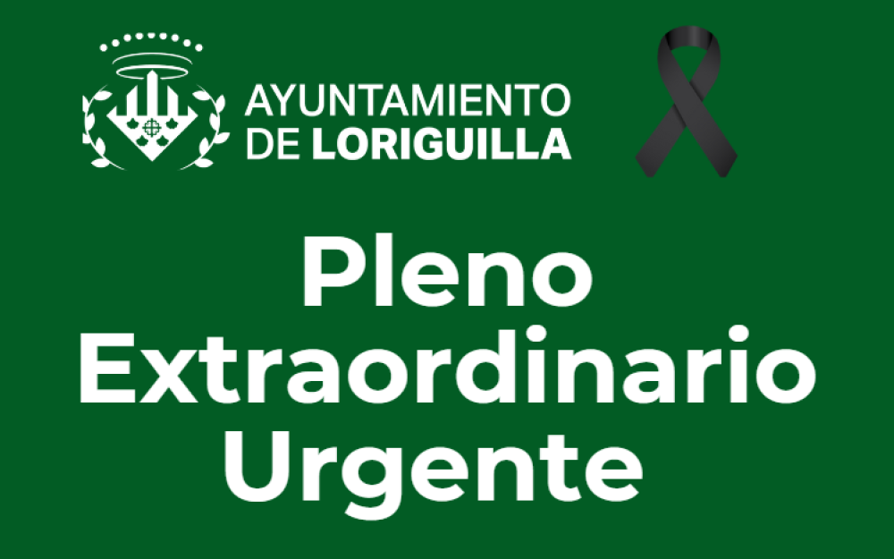 Pleno Extraordinario