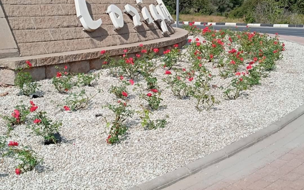 Prepara_pueblo_7