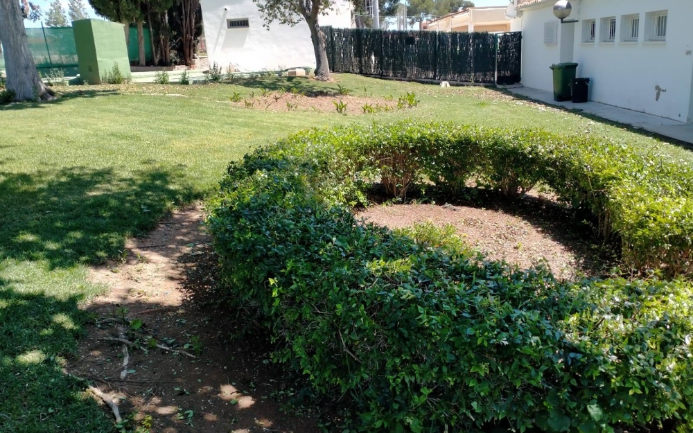 Prepara_pueblo_9