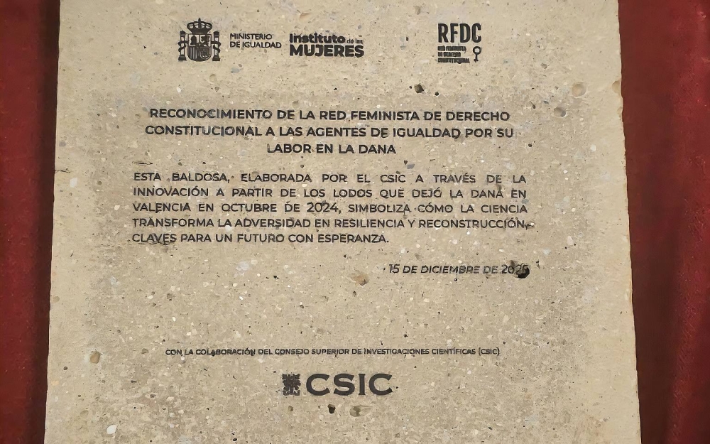  RED FEMINISTA DE DERECHO CONSTITUCIONAL