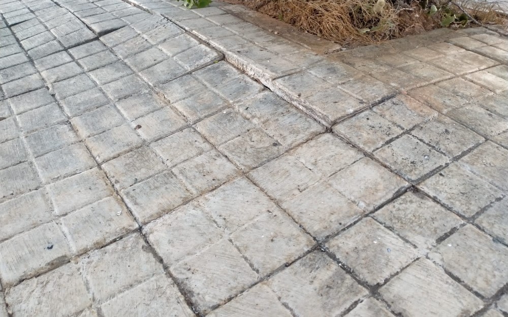 Temporal en Loriguilla (12)