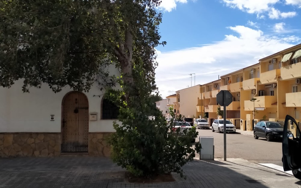 Temporal en Loriguilla (13)
