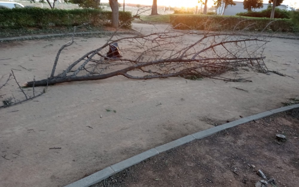 Temporal en Loriguilla (2)