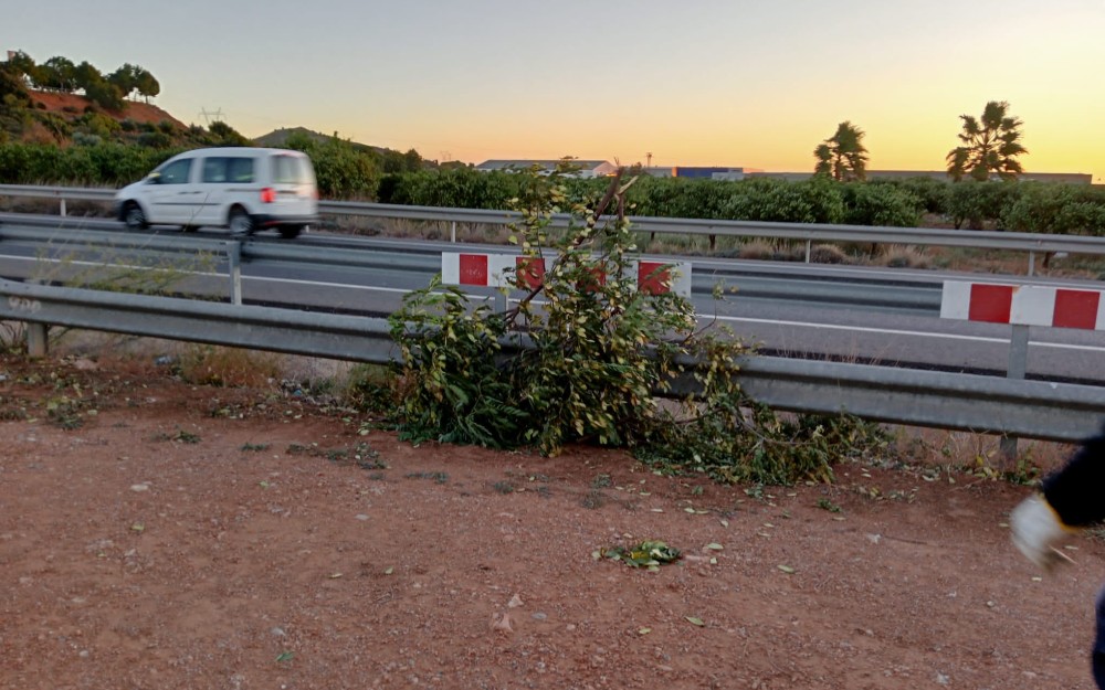 Temporal en Loriguilla (5)