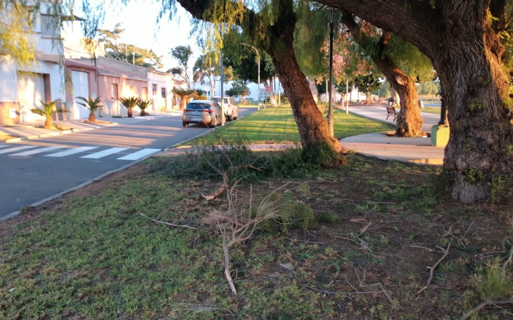 Temporal en Loriguilla (7)