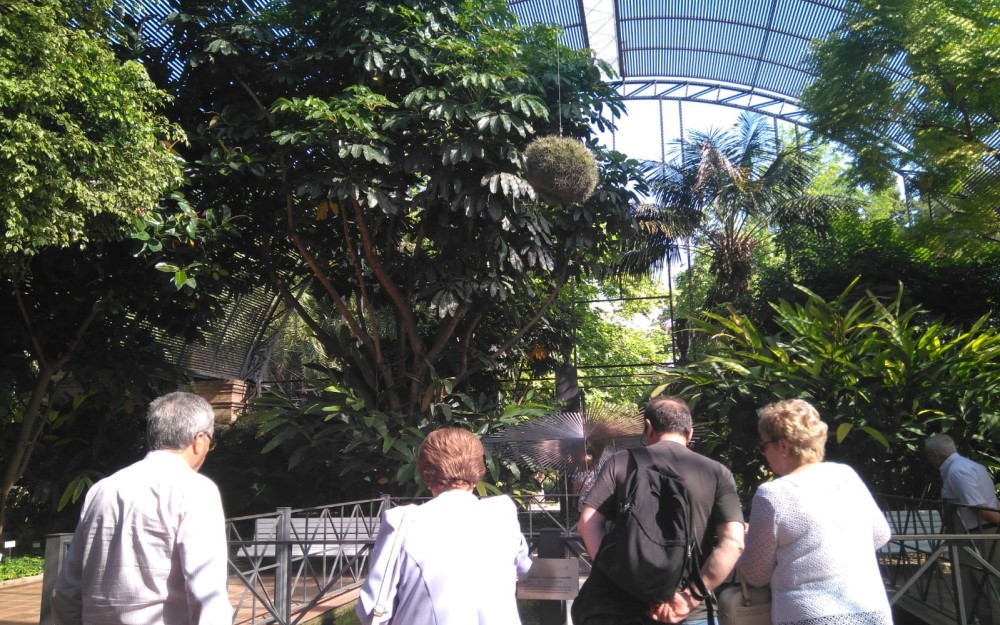 mayores-visitan-jardin-botanico-3