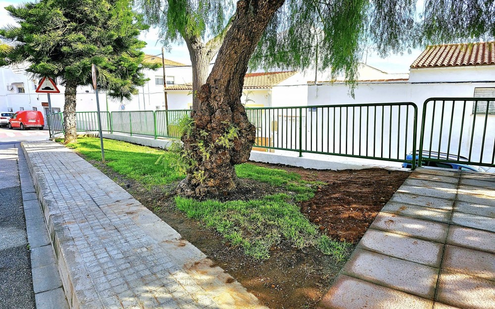 Nueva zona verde (2)